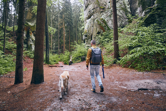 A hiker and his dog walking in the woods