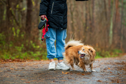 Summer Storm Safety: Hiking with Dogs When Weather Turns Dangerous
