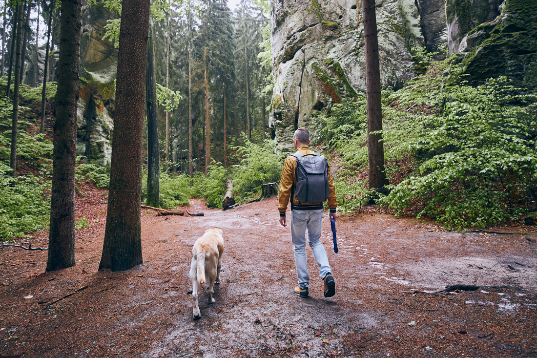 Hiking with Your Dog: Essential Tips for a Safe Adventure