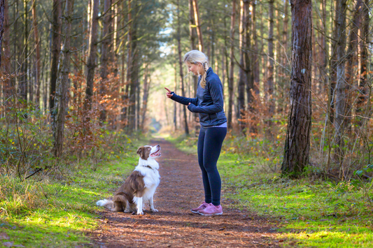 Woman training dog to sit