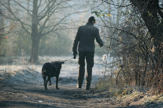 Late Winter Hiking: What Changes First