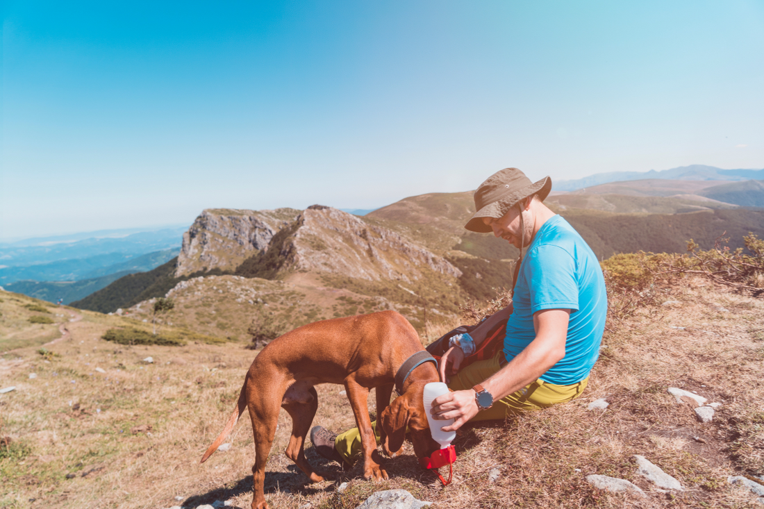 Hiker and their Dog taking a water break