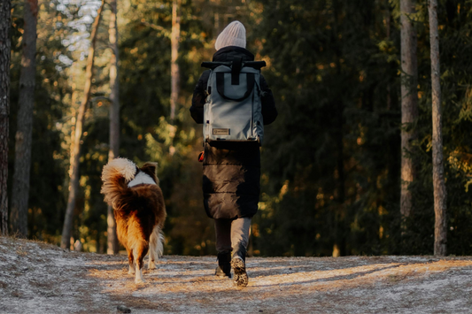 Backpacker Walking Dog in Forest