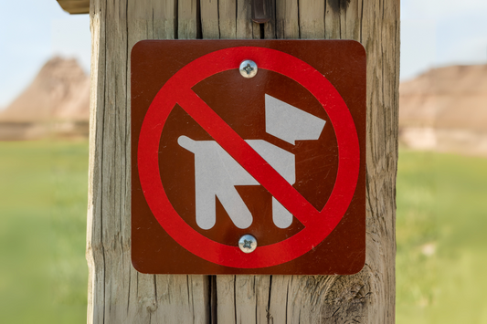 A brown sign with a red circle and slash indicating dogs are not allowed on the trail.