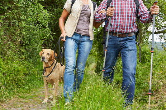 Elderly couple with their dog on a hiking trail