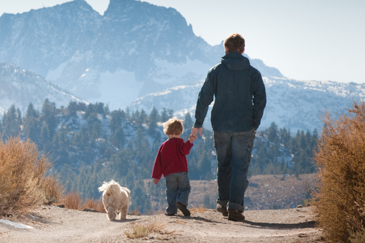 Back to School Season: Adjusting Your Dog’s Hiking Schedule When Routines Change
