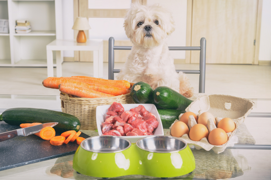 Small dog sitting at a table with raw meat, carrots, zucchini, and eggs, ready for meal prep