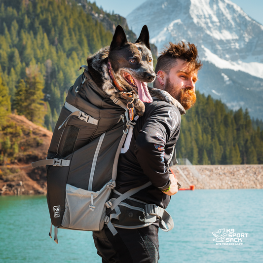 Kolossus | Big Dog Carrier & Backpacking Pack