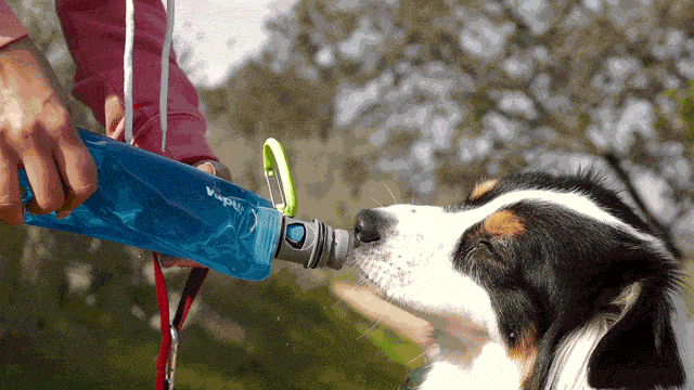 Vapur® EZ Lick™ Portable Dog Water Bottle