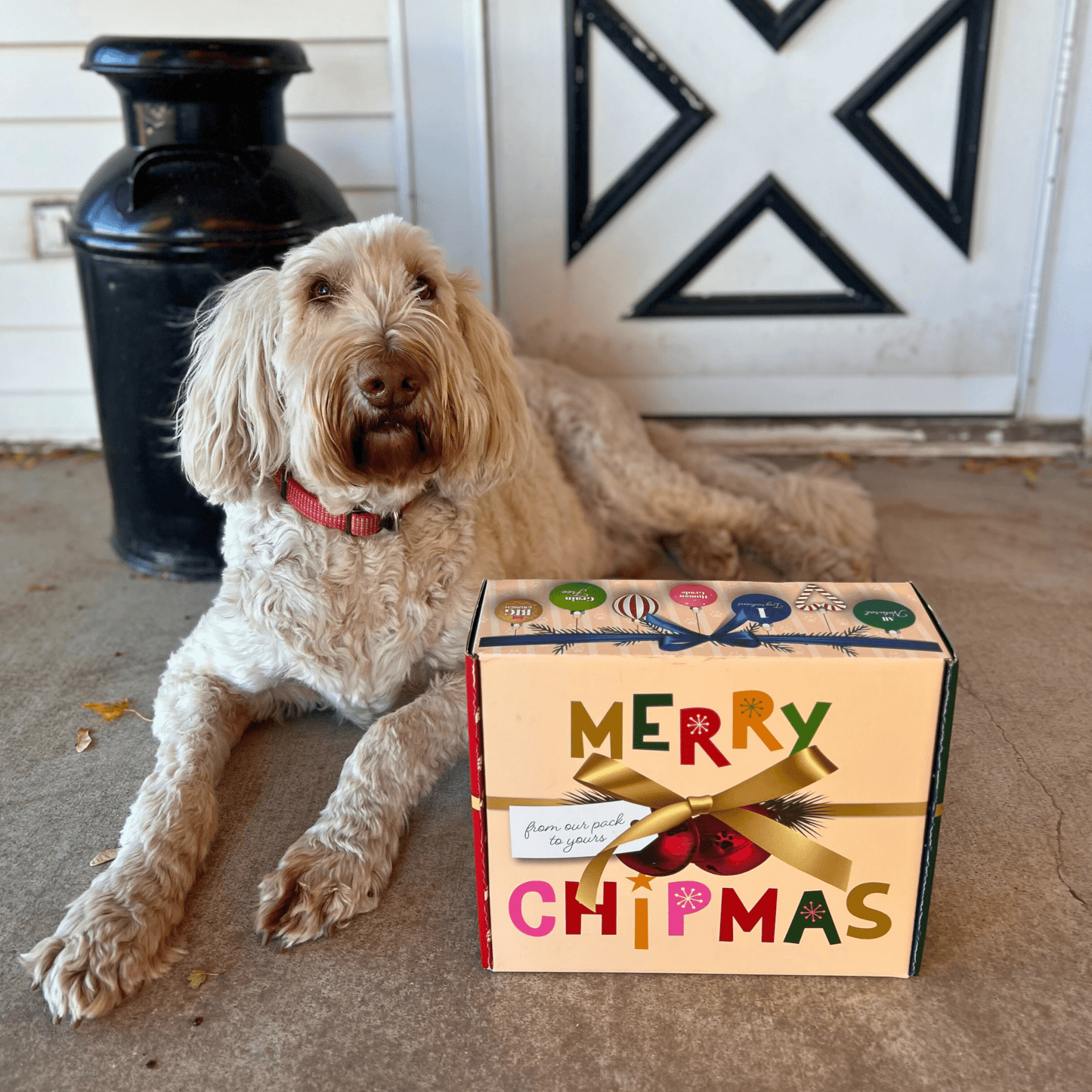 Santa Paws' Best Chipmas Dog Treat Box