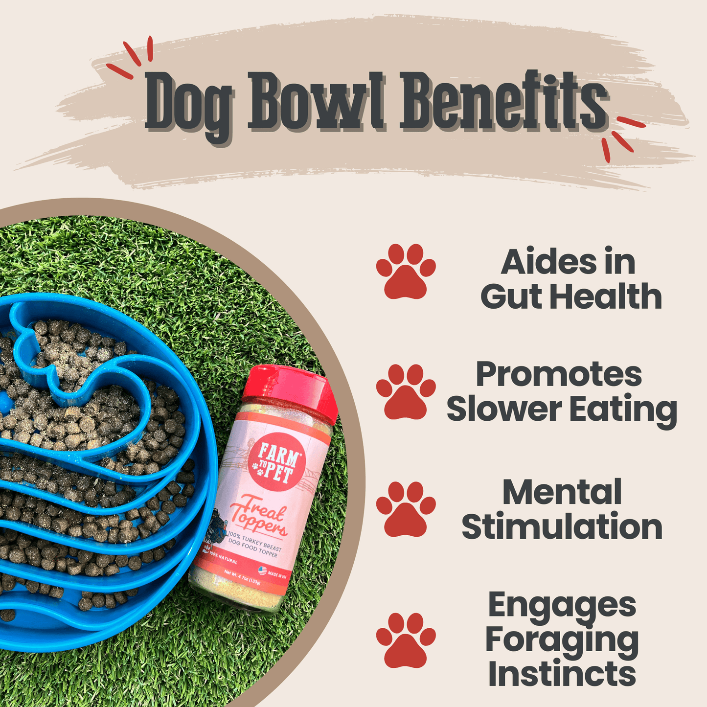 Slow Feeder Dog Bowls