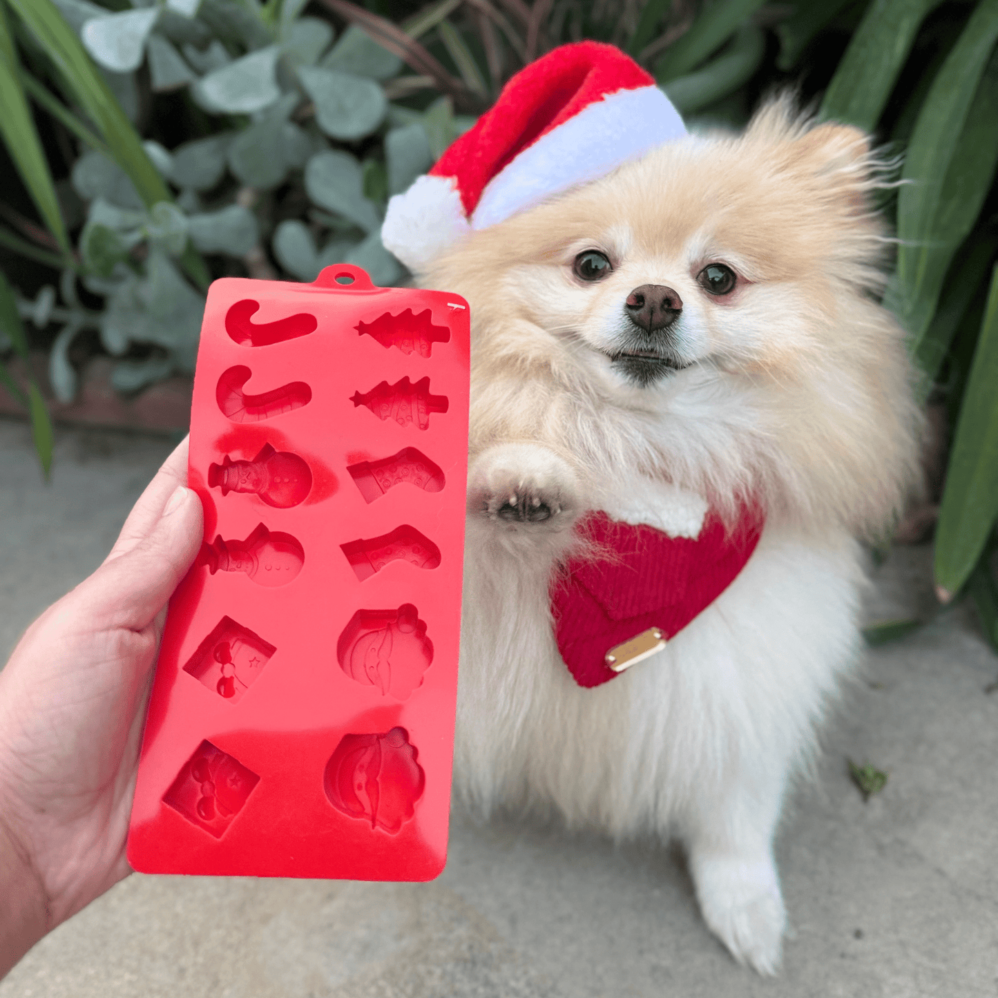 Holiday Pet Treat Mold