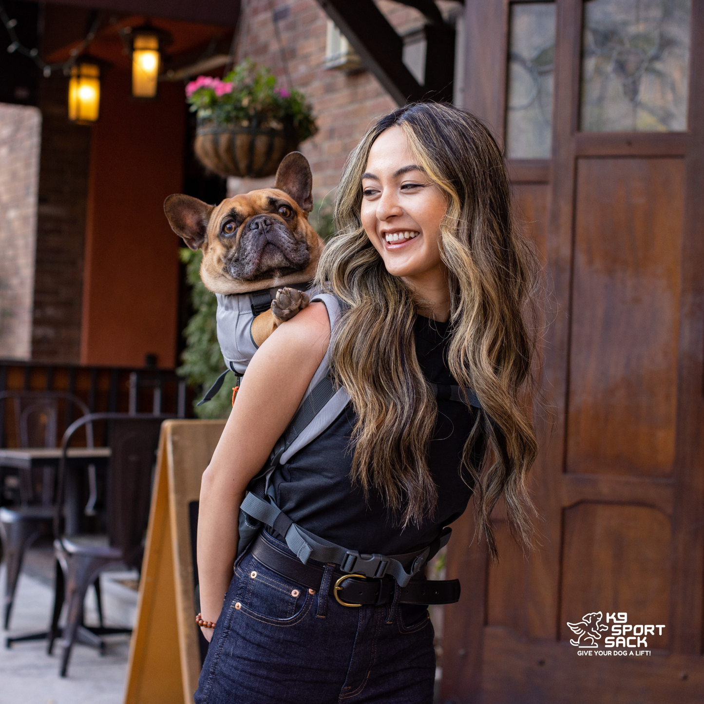 Urban 3 | Dual Use Dog Carrier & Traditional Backpack