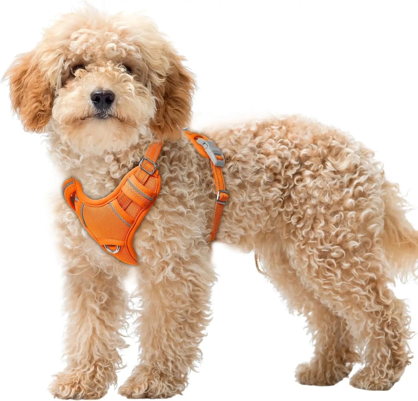 Reflective No-Pull Dog Harness, Adjustable Comfort for Training & Walking