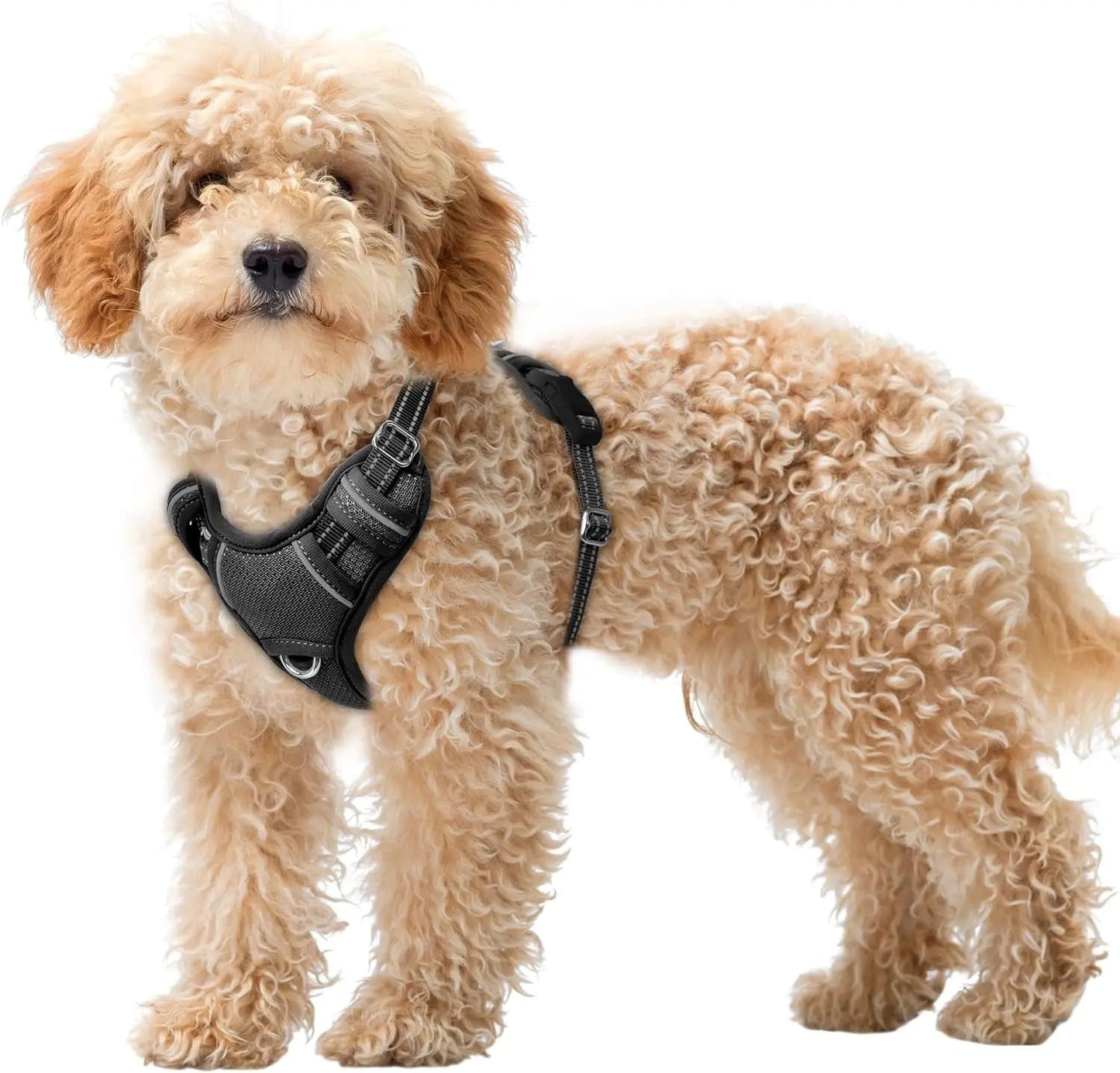 Reflective No-Pull Dog Harness, Adjustable Comfort for Training & Walking