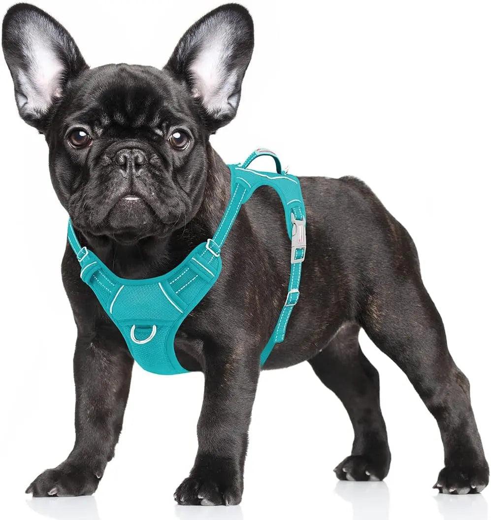 Reflective No-Pull Dog Harness, Adjustable Comfort for Training & Walking