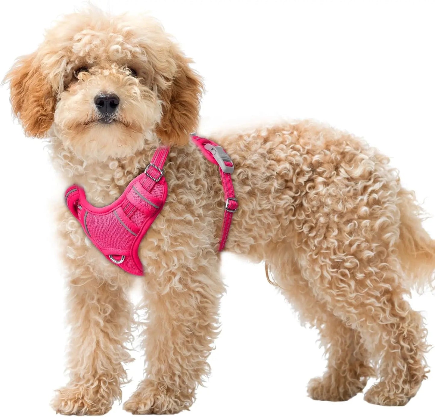 Reflective No-Pull Dog Harness, Adjustable Comfort for Training & Walking