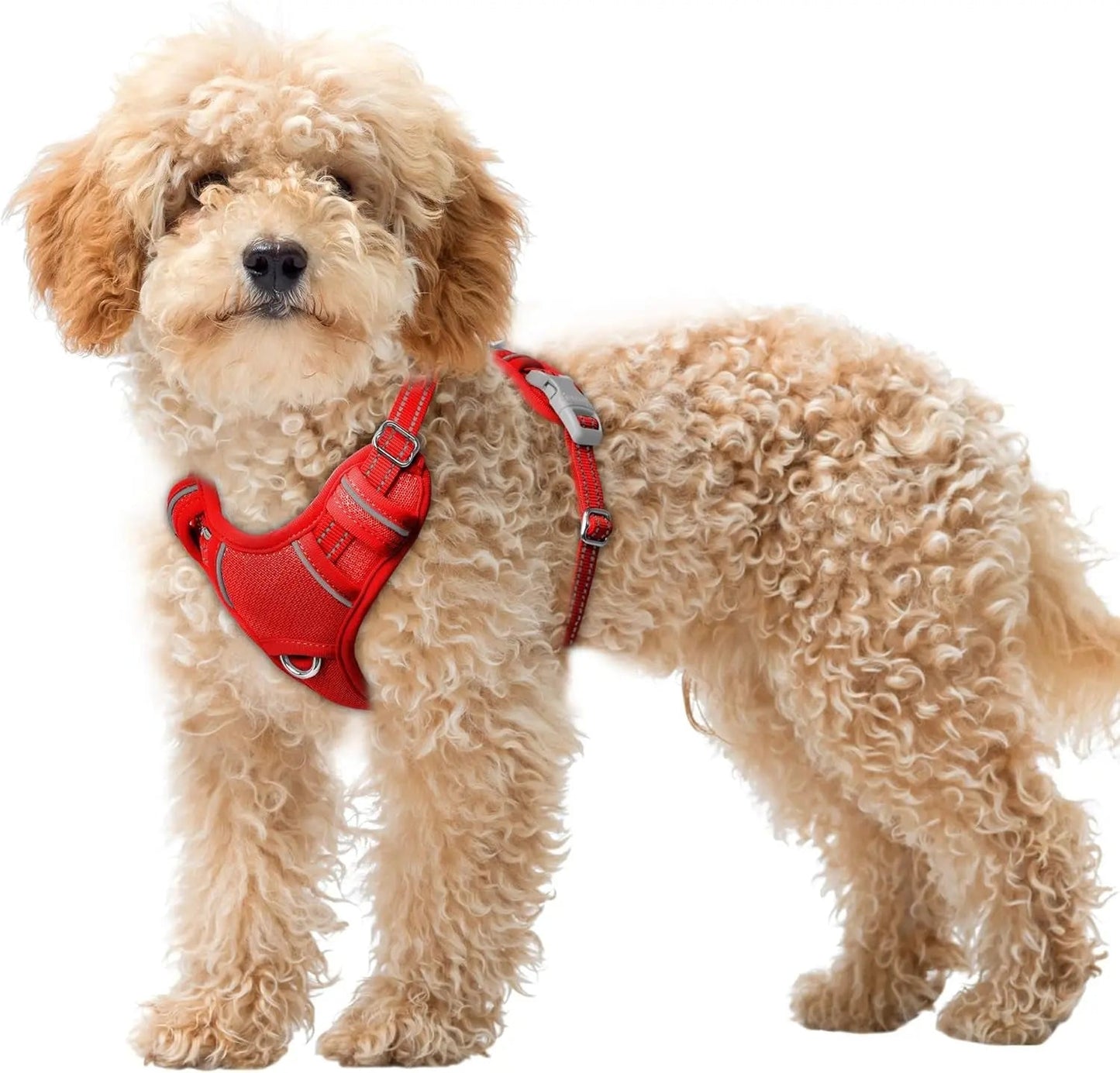 Reflective No-Pull Dog Harness, Adjustable Comfort for Training & Walking