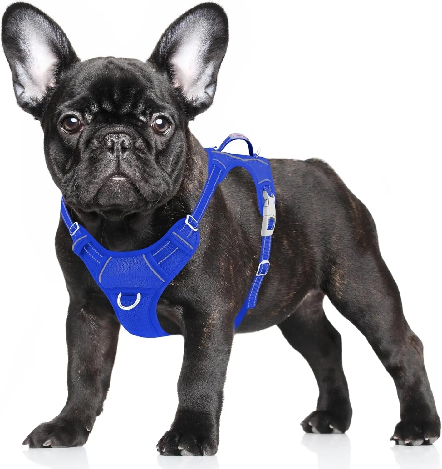 Reflective No-Pull Dog Harness, Adjustable Comfort for Training & Walking