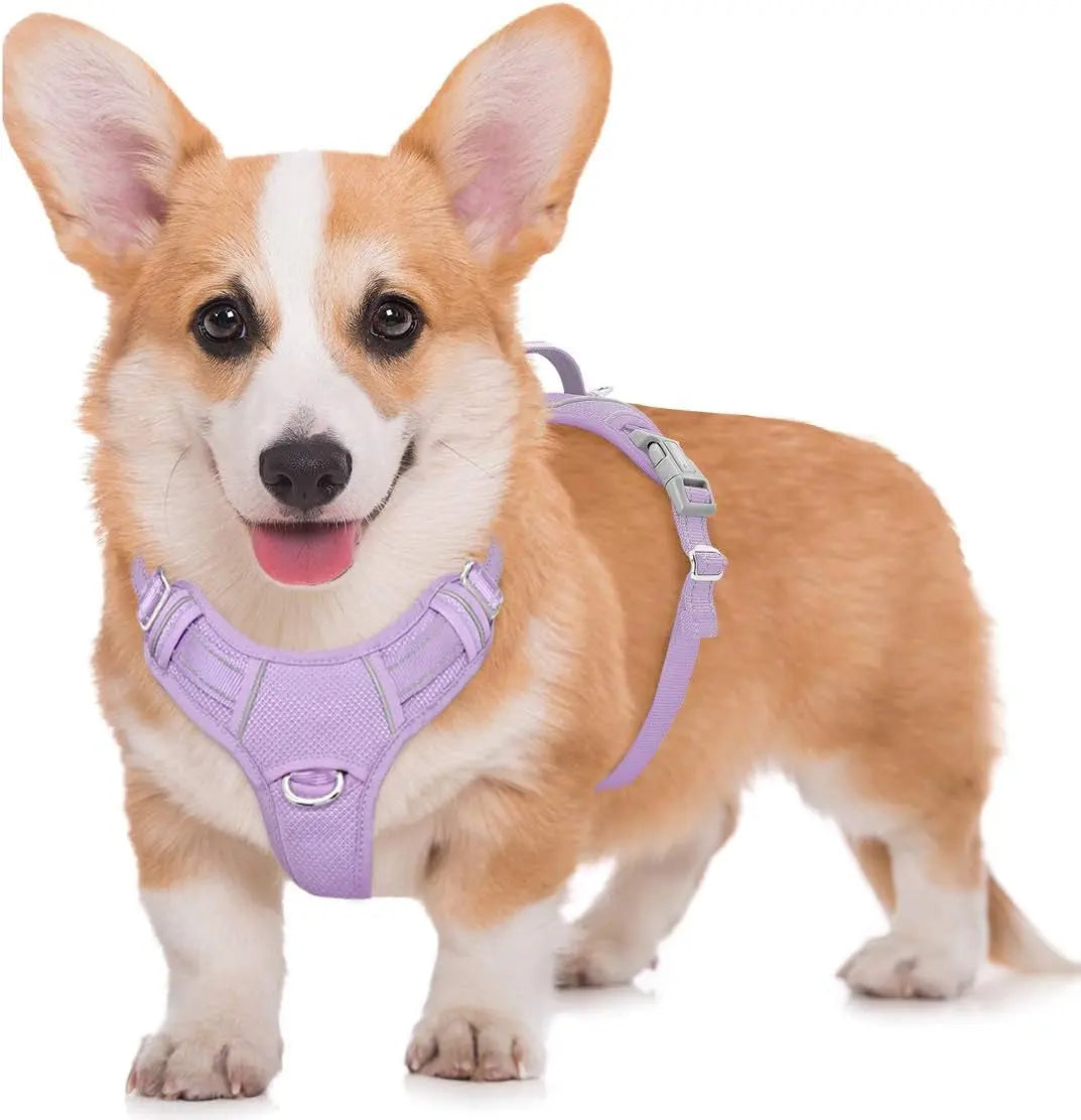 Reflective No-Pull Dog Harness, Adjustable Comfort for Training & Walking