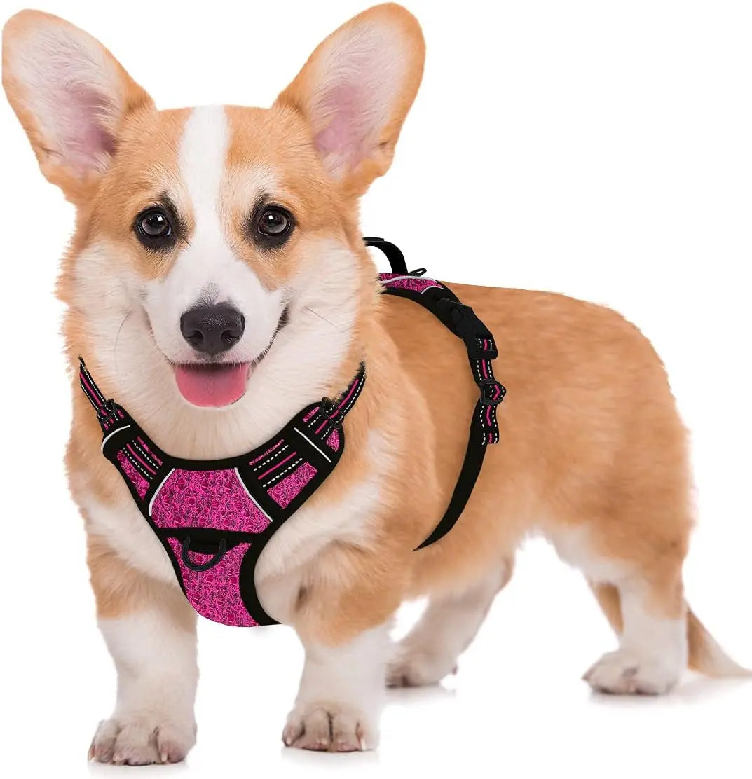Reflective No-Pull Dog Harness, Adjustable Comfort for Training & Walking