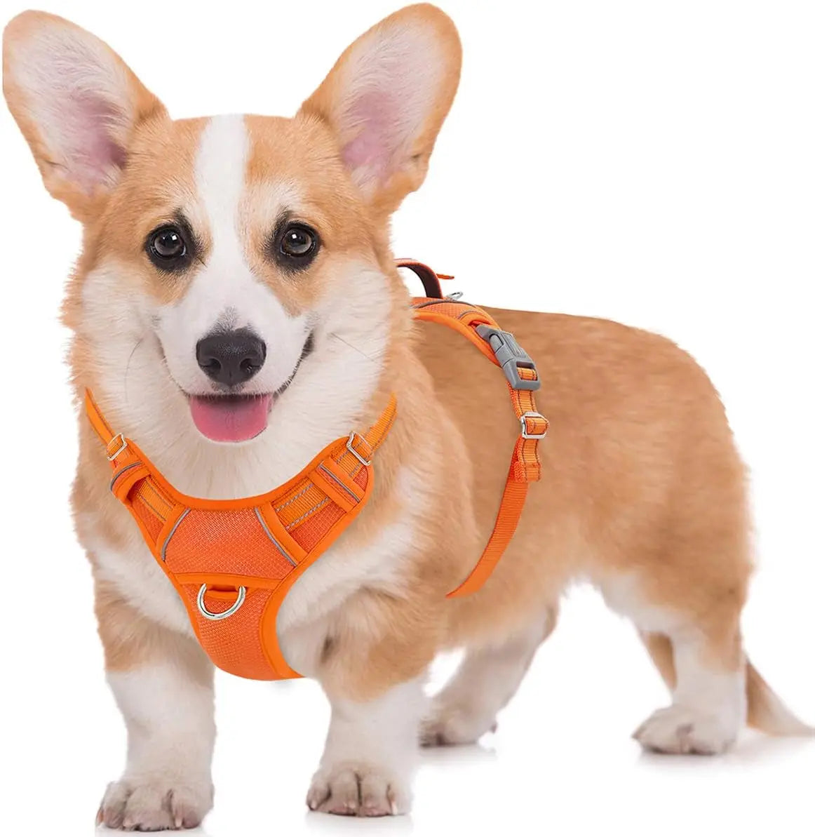 Reflective No-Pull Dog Harness, Adjustable Comfort for Training & Walking
