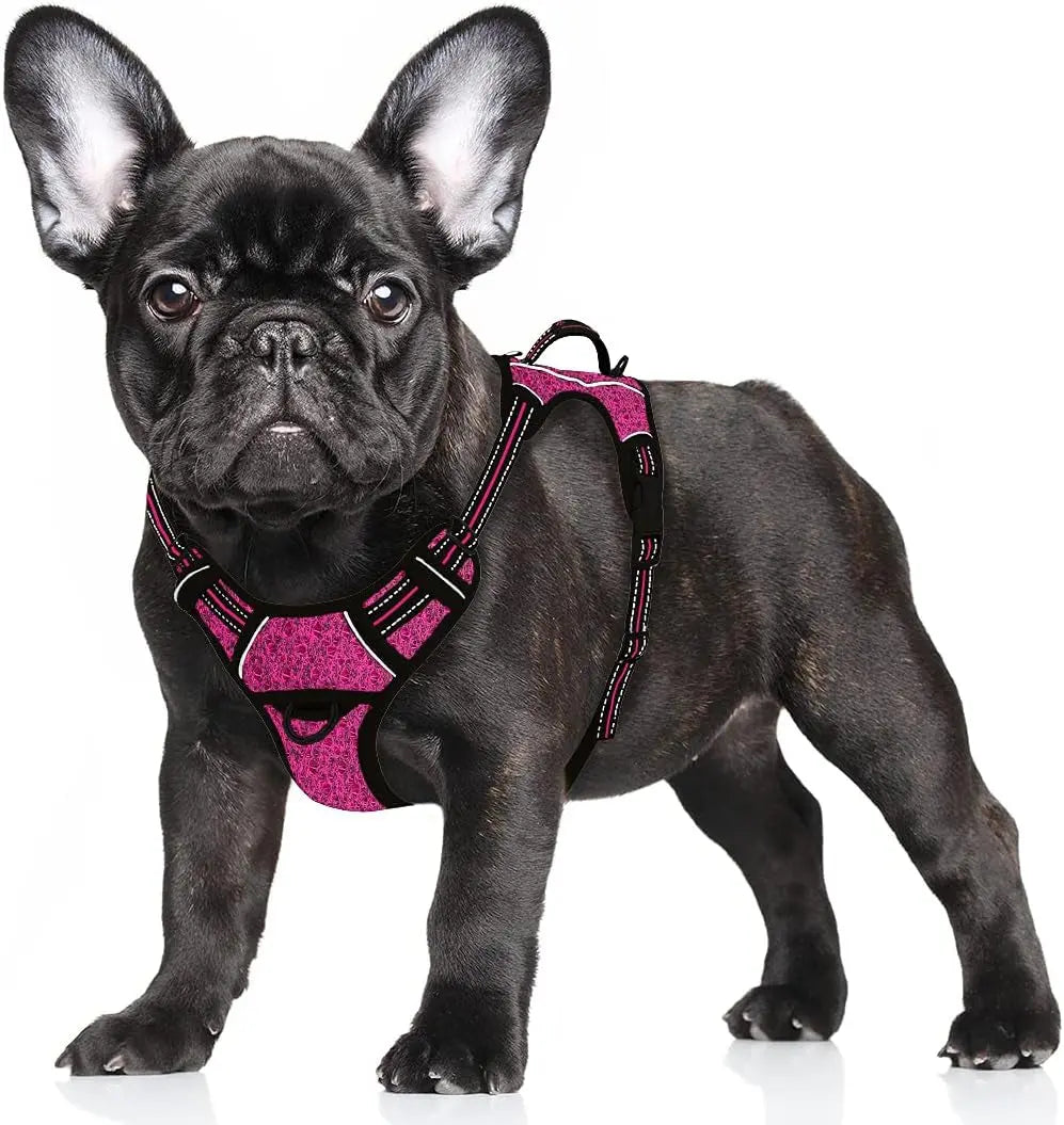 Reflective No-Pull Dog Harness, Adjustable Comfort for Training & Walking