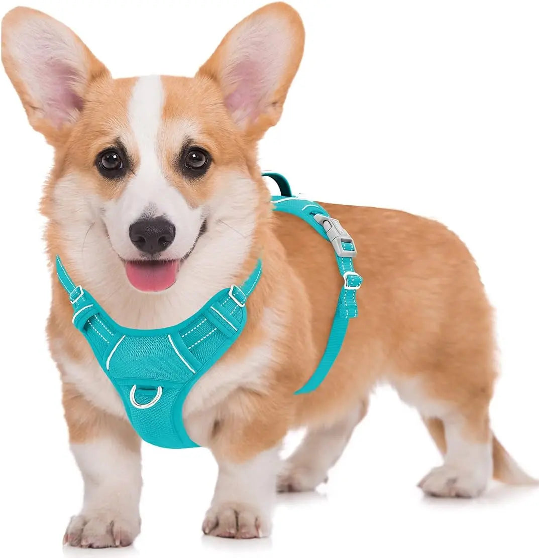 Reflective No-Pull Dog Harness, Adjustable Comfort for Training & Walking