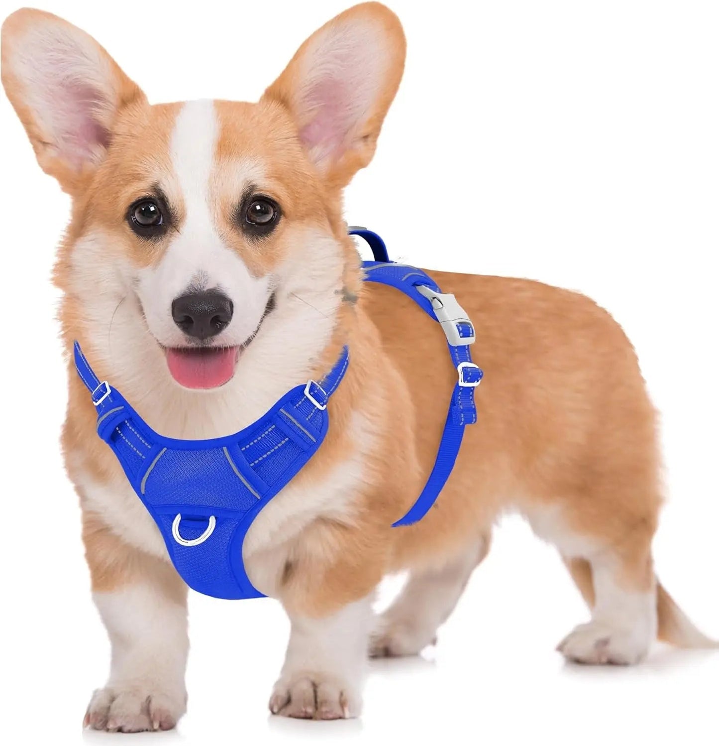 Reflective No-Pull Dog Harness, Adjustable Comfort for Training & Walking