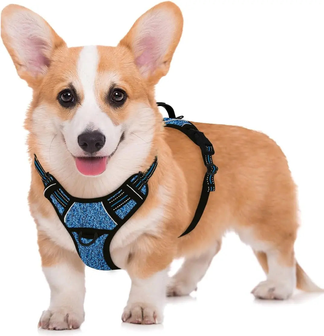 Reflective No-Pull Dog Harness, Adjustable Comfort for Training & Walking