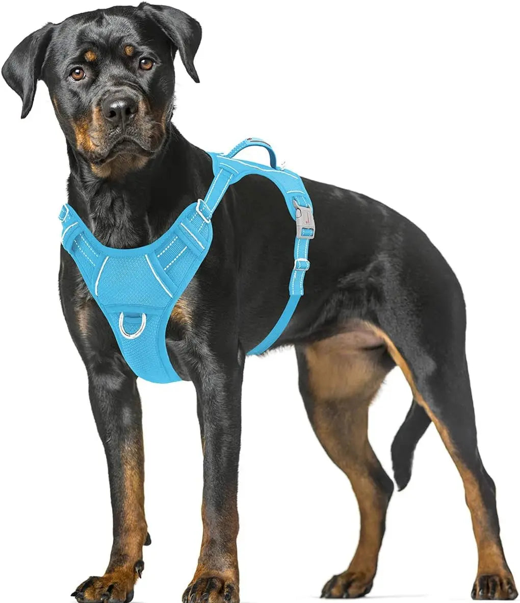 Reflective No-Pull Dog Harness, Adjustable Comfort for Training & Walking