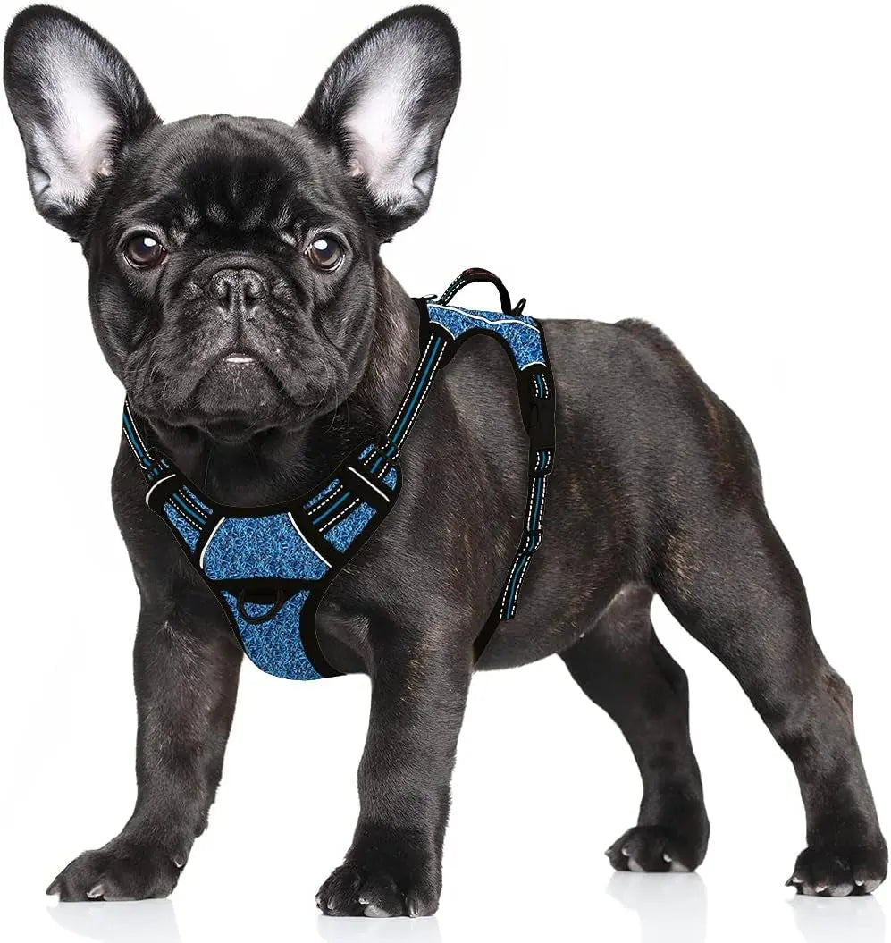 Reflective No-Pull Dog Harness, Adjustable Comfort for Training & Walking