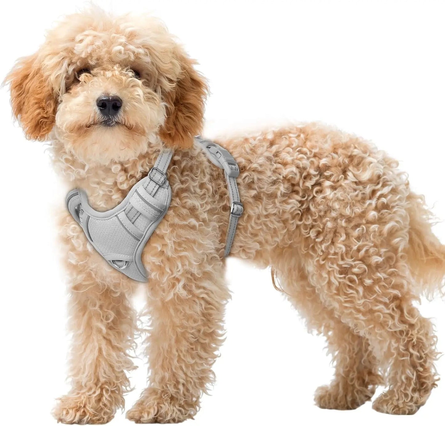 Reflective No-Pull Dog Harness, Adjustable Comfort for Training & Walking
