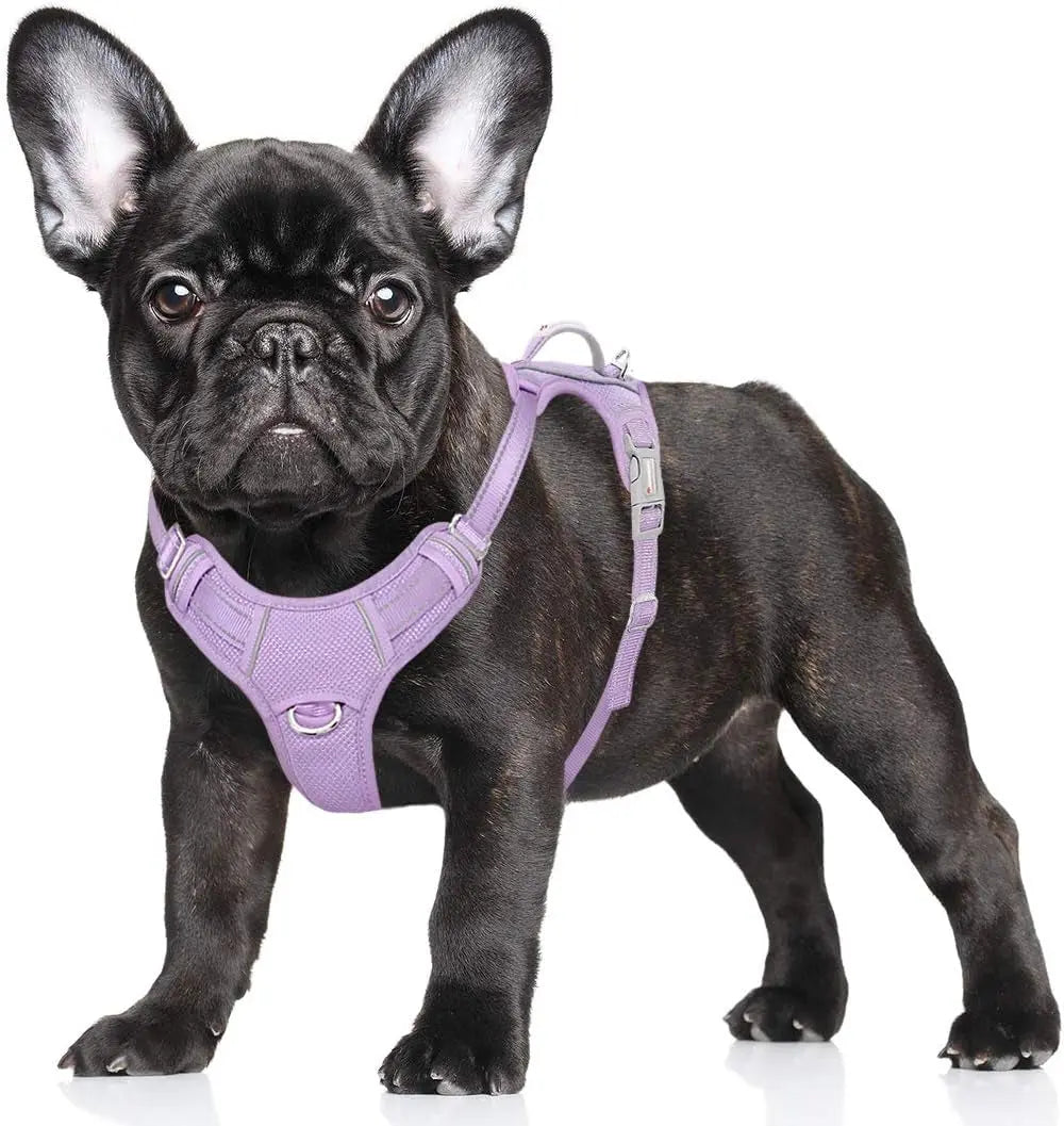 Reflective No-Pull Dog Harness, Adjustable Comfort for Training & Walking