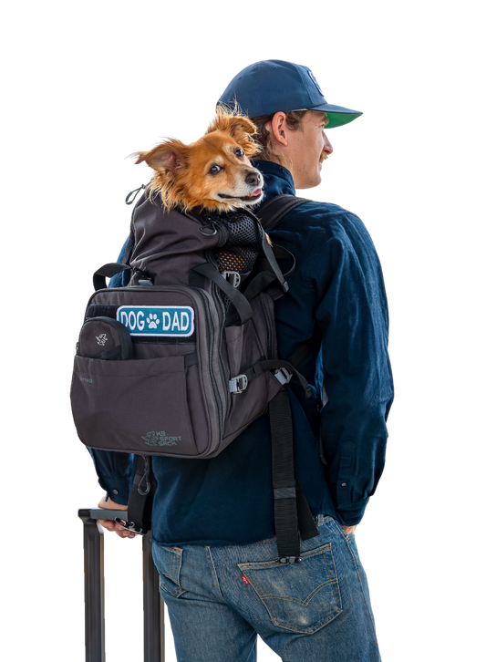 Sky Pack | Convertible Dog Backpack & Pet Carrier